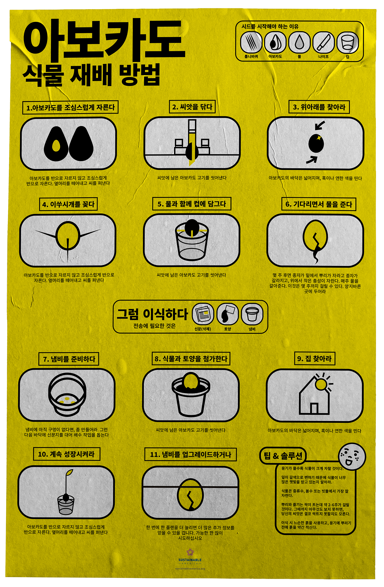 Sustainable America Infographic Poster